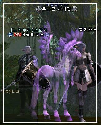 馬.jpg